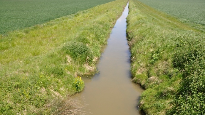Ruisseau et bande enherbée