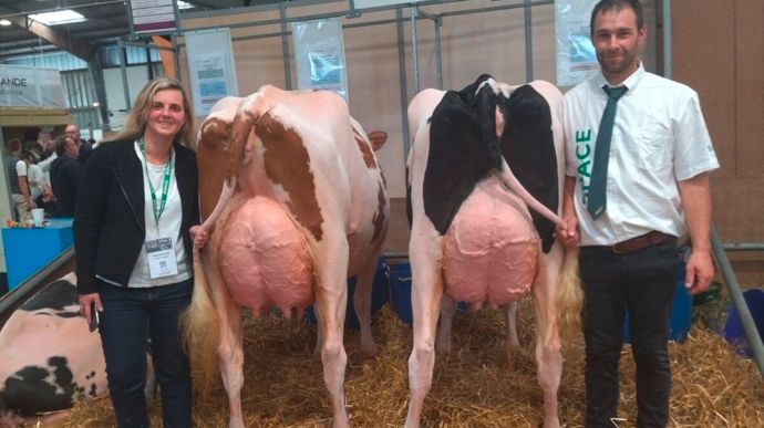 Mélanie et Matthieu Bodin au Space 2024 avec leurs deux vaches, deux cousines.