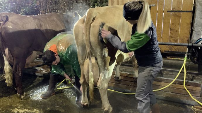  - Lavage, brossage... Jolie a le droit à une mise en beauté digne d'une vraie star.