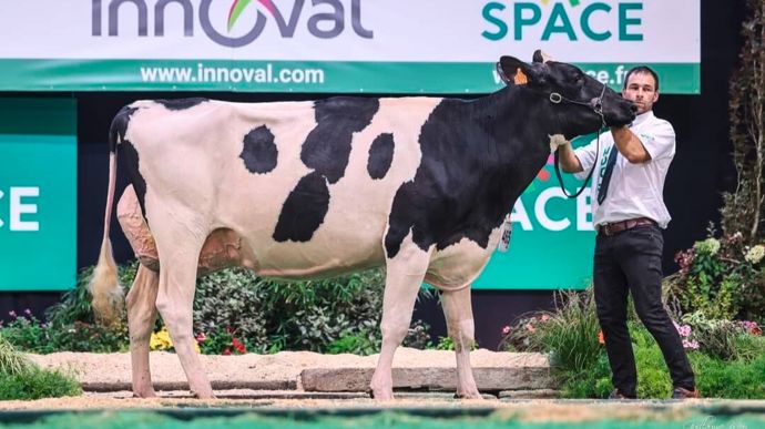 Réussite a remporté un cinquième prix de section (2e lactation) au Space 2024.