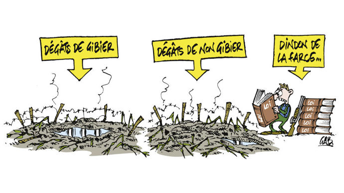 Sur les dégâts de gibier et leur indemnisation