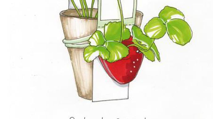 ©Espace Inspiration  Partage ton fraisier : Anaelle Sourice et Zélie Lelandais proposent le greffon en partage …/…