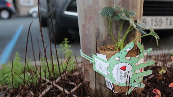 ©Espace Inspiration  …/… chaque passant peut disséminer à loisir des stolons de fraisiers partout dans la ville.
