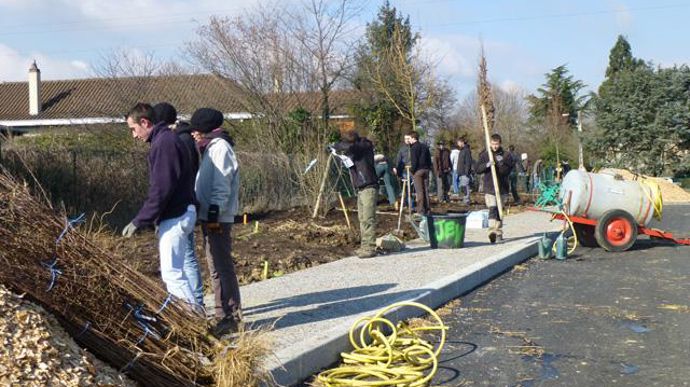 10. Arrosage et tuteurage des plantations.