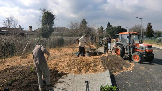 11. Protection des arbres.