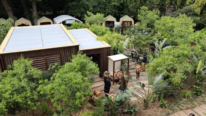 « Le santal de Chanel », un espace de 300 m² dédié au bois de santal qui entre dans la composition des flacons du célèbre parfumeur.