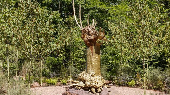 Le prix Design et idées novatrices récompense le jardin « Drôle de Trogne ». ©Eric Sander