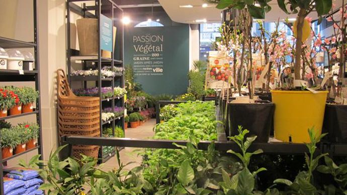 ©P.Fayolle La passion du végétal : c'est l'un des messages que l'enseigne met en avant. Et qui globalement transparait plutôt bien lors de la visite, l'inerte et l'animalerie étant relégués ou au sous-sol du magasin, laissant le niveau rue baigné dans le végétal… 
