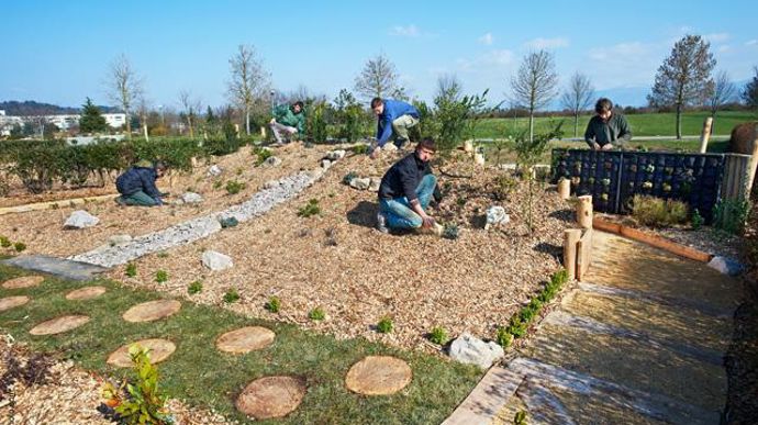 13. Le mont en couleurs.../... De grands végétaux évoquent un jardin représentatif de la montagne avec, en arrière-plan, un vrai décor de montagne. Un chemin jaune met en couleur le végétal avec des pas japonais en bois. Un paysage grandiose.