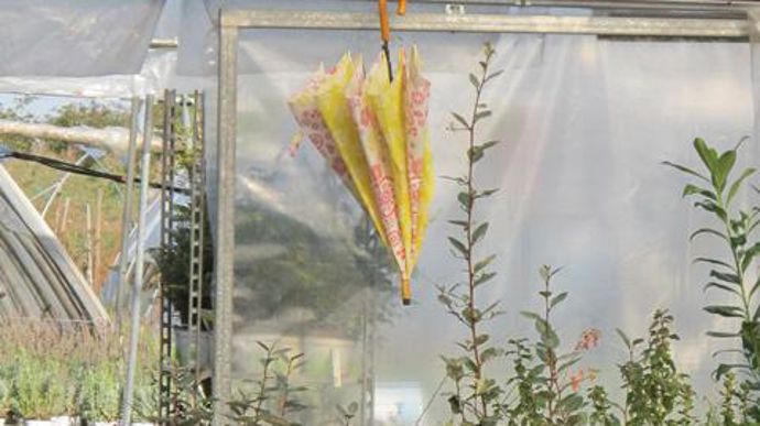 © Valérie Vidril La mise à disposition d'un parapluie fait partie des petites attentions destinées à faciliter la visite d'une clientèle majoritairement féminine.
