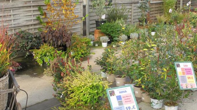 © Valérie Vidril Les kits de plantes (ici pour haie) facilitent le choix du consommateur. 