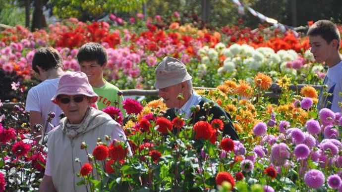 © Gilles Cloître Des publics de tous âges fréquentent le festival du lycée de Coutances (50). 