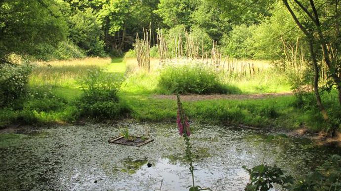 ©Odile Maillard Des mares et des 