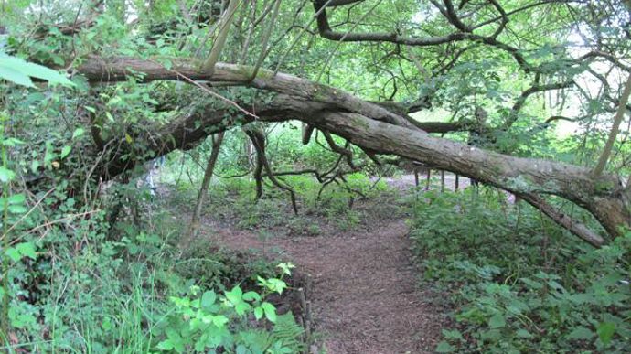 ©Odile Maillard Les élèves apprennent à faire avec la nature, et pas contre…