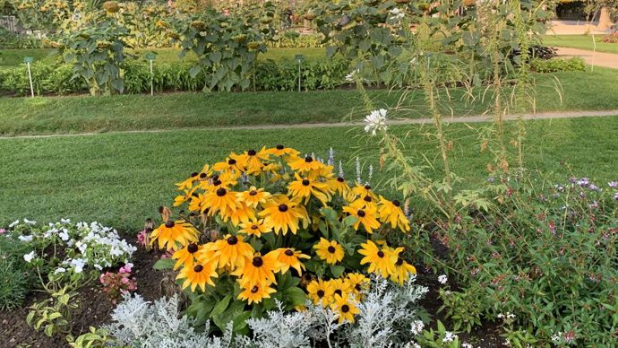 Vue générale de la grande perspective, dans le Jardin des plantes du Museum d’histoire naturelle de Paris.