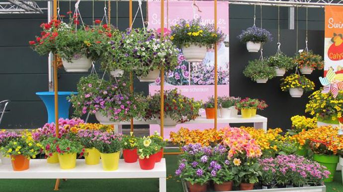 ©Odile Maillard L'été en vacances : mise en scène pour les producteurs (Selecta). 