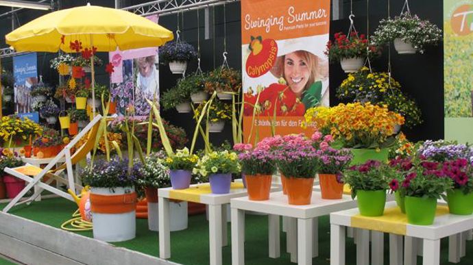 ©Odile Maillard L'été en vacances : mise en scène pour les détaillants et fleuristes (Selecta). 