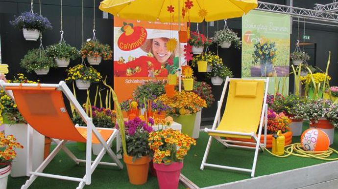 ©Odile Maillard L'été en vacances : mise en scène pour les consommateurs (Selecta). 