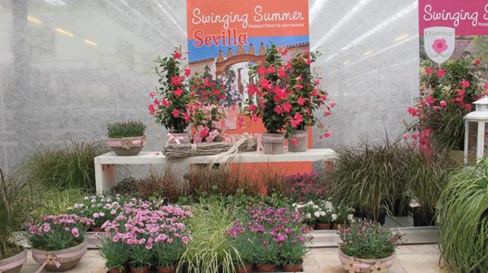 ©Odile Maillard L'été à la maison : mise en scène pour les producteurs (Selecta). 