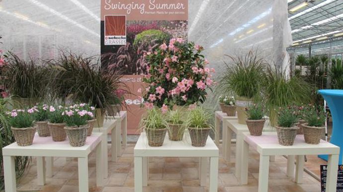 ©Odile Maillard L'été à la maison : mise en scène pour les détaillants et fleuristes (Selecta). 