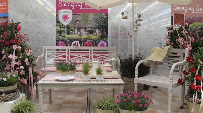 ©Odile Maillard L'été à la maison : mise en scène pour les consommateurs (Selecta). 