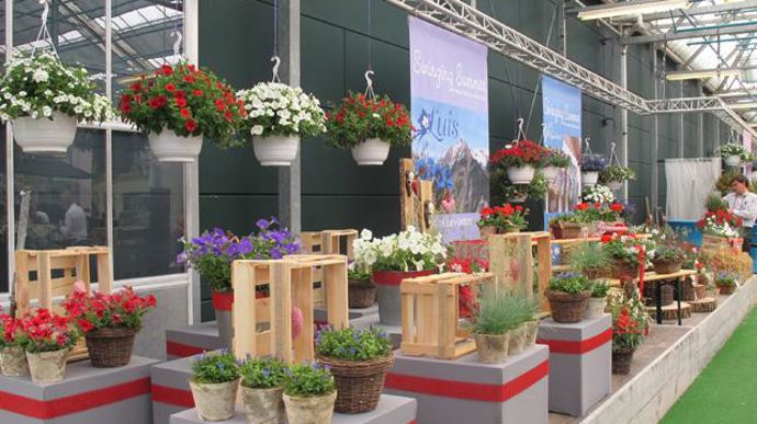 ©Odile Maillard L'été dans les Alpes : mise en scène pour les détaillants et fleuristes (Selecta). 
