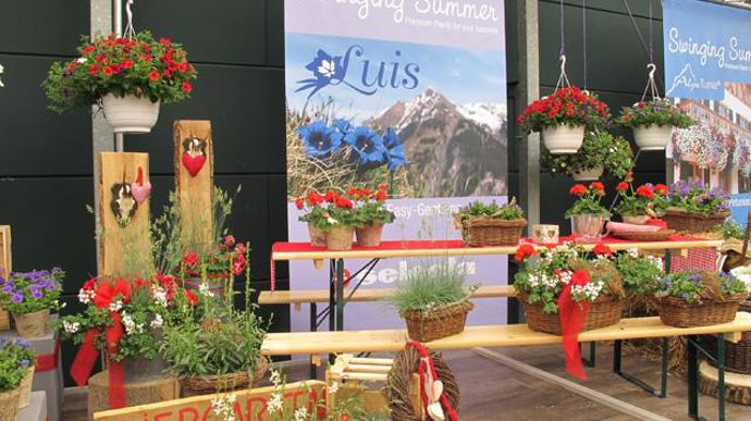 ©Odile Maillard L'été dans les Alpes : mise en scène pour les consommateurs (Selecta). 