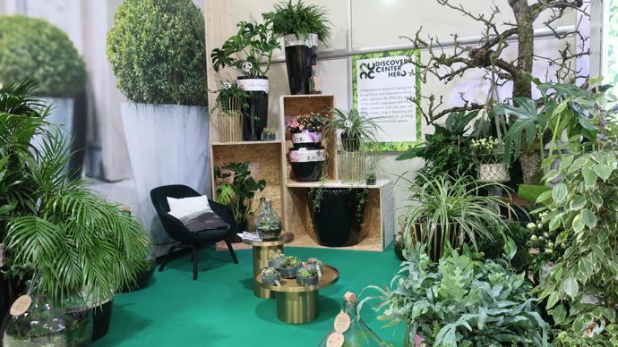 … et avec l’urbanisation croissante, dans tout petit espace « fini » (délimité), même les végétaux d’intérieurs seront les bienvenus, ici pour évoquer une forêt exotique dans son chez-soi… ©Odile Maillard