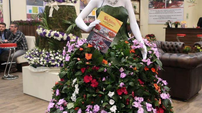 SUNPATIENS®, l’impatiens tous temps et toutes expositions, fait son show et son défilé à la mode… ©Odile Maillard