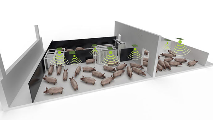 Une étoile pour Asserva pour son outil Pig Move. Cette solution de suivi individuel du déplacement des porcs utilise la technologie RFID pour les identifier. Un logiciel de suivi et d’enregistrement des données de déplacements mesure avec précision le comportement du porc et d’un groupe de porcs. Les algorithmes permettent d’évaluer l’effet de certains aménagements ou pratiques d’élevage sur le comportement des porcs.