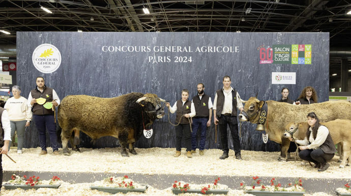 Narquois le champion aubrac, est est un taureau très tendu, profond, avec une ligne de dos très droite et un jarret bien dessiné. Isette, la championne de la race, montre une superbe locomotion et une belle tête. Elle dispose d'un bassin parfait, large et plat. Elle est aussi très bien suitée.