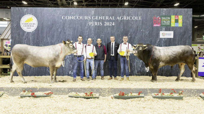 Sirène, la championne bazadaise, est un animal très long, très fin. Elle présente un dos plat comme une règle et un bassin très bien fait. Viande, squelette, longueurs, largeurs locomotion... Taiwan, le champion de la race, est un animal complet. Il présente également une robe d'un gris charbonné parfait, bien éclairé autour des yeux.