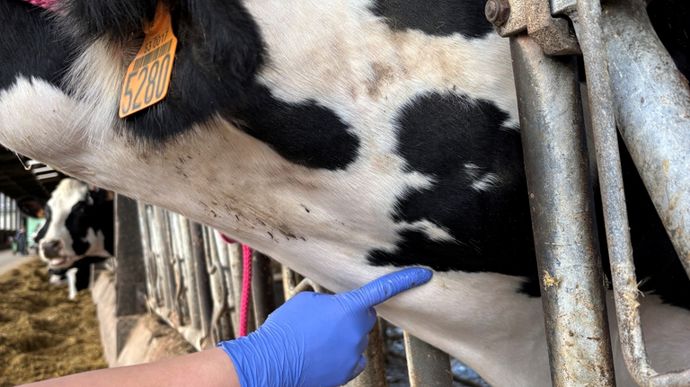 Photo 9 : passage de la sonde.