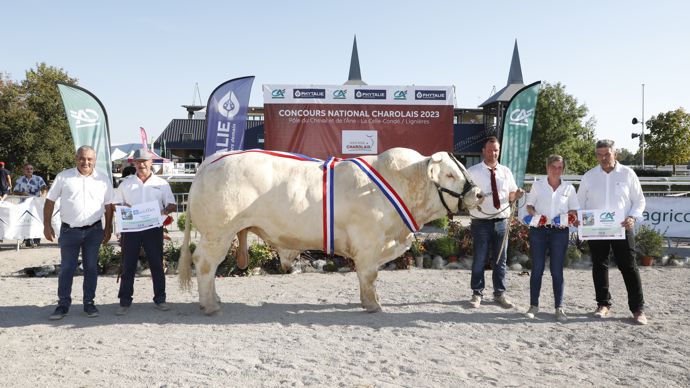 Redoutable cumule le prix de champion sénior mâles et de grand champion mâles.