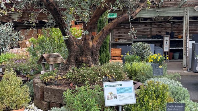 Depuis le rond-point central de la pépinière extérieure, le parcours invite le client à flâner dans des allées thématiques, ponctuées de jardins de démonstration.