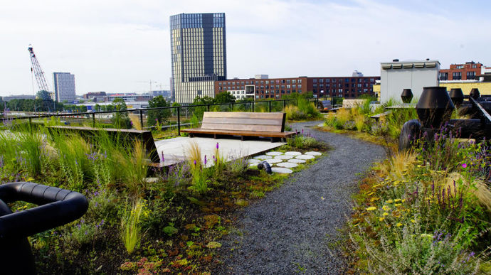 L’accessibilité de ces toitures à la communauté améliore son confort et permet de promouvoir sa plus grande implication dans les questions liées au changement climatique.