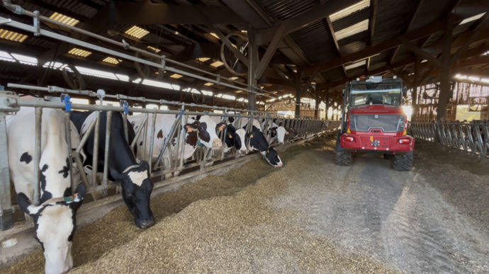 Chaque lot reçoit une ration complète différente, en fonction du stade de lactation.
