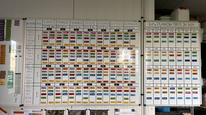 13 membres composent l'équipe de la SCEA des Rives d'Or, alors l'organisation n'est pas laissée au hasard.