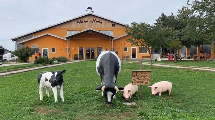 La ferme Vaka Mora accueille du public au quotidien pour la vente de glaces, fromages et autres produits laitiers.