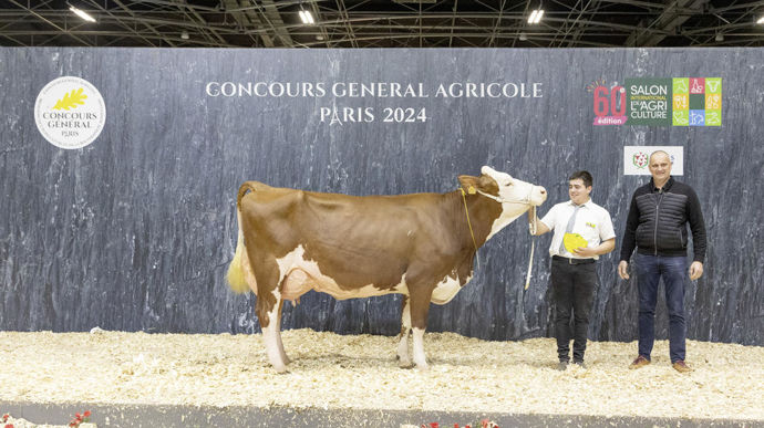 Paella, la championne adulte montbéliarde, a ému le juge du concours. C'est une vache moderne, qui allie qualités corporelles, de production, et de déplacement.