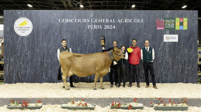 Nasa, la championne adulte tarentaise, est un animal puissant, élégant et raffiné, avec une mamelle de très grande qualité et un bassin très bien structuré.