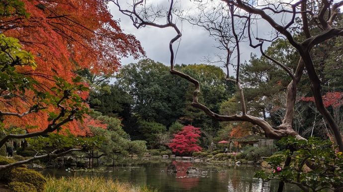 Autre jardin remarquable, celui entourant le sanctuaire Heian-jingu de Kyoto est aménagé en quatre types de jardin présentant une grande diversité d’aménagements paysagers, essentiellement dans un style naturaliste.