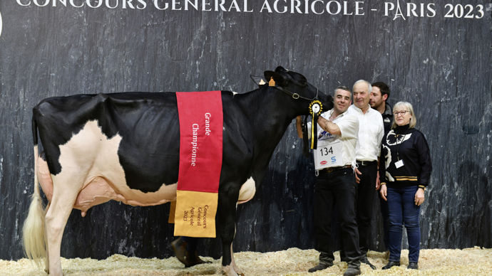 - La qualité de conservation de la grande championne prim’holstein a fait la différence. En sixième lactation, la landaise Ducasse Jaka est harmonieuse dans son squelette. Son attache mammaire arrière, haute et large, est exceptionnelle. Elle dispose d’une belle aisance au niveau de sa locomotion.