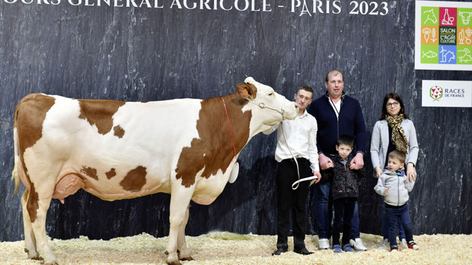 - Les dimensions morphologiques de la championne adulte montbéliarde ont séduit le jury. La jurassienne Lili est une vache solide, avec un bassin bien établi, de la profondeur et une belle largeur de poitrine. Finaliste des meilleures mamelles, elle dispose également d’excellents pieds et membres.
