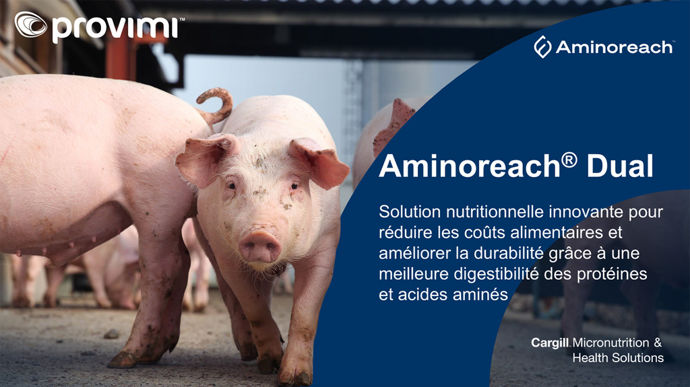 Aminoreach dual est la combinaison de produits de fermentations bactériennes et fongiques, et de phytogéniques. Distinguée par une étoile, cette solution proposée par Provimi est destinée à améliorer la digestibilité des protéines et des acides aminés chez le porc. Il agit en apportant des activités enzymatiques exogènes et en stimulant la sécrétion endogène d’enzymes.