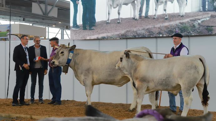 La championne vache Passion vient de l'élevage de Patrick Respaud dans l'Ariège.