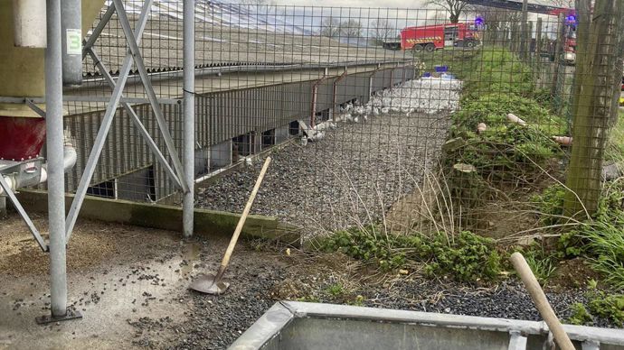  - Une partie des 35 000 poules pondeuses a pu se mettre à l'abri des flammes.