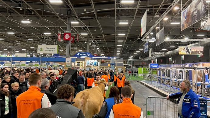  - Une haie d'honneur pour la star de Crézancy qui marche docilement accompagnée de ses coéquipiers.