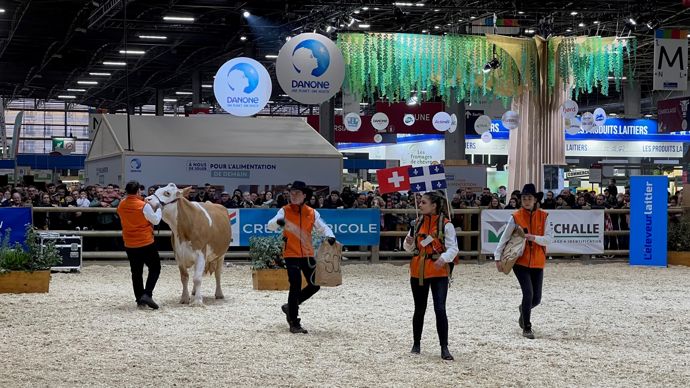  - C'est parti pour cinq minutes chrono de show sur le grand ring devant plusieurs centaines de spectateurs.