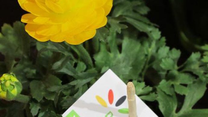 © Valérie Vidril L'organisation commerciale allemande Landgard propose à ses adhérents le concept « Deutsche Gärtnerware ». Moyennant certaines conditions (cahier des charges, paiement d'une licence...), ils utilisent la marque pour mettre en avant une production nationale de qualité... 